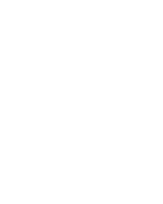 a ISO13485 certificate icon